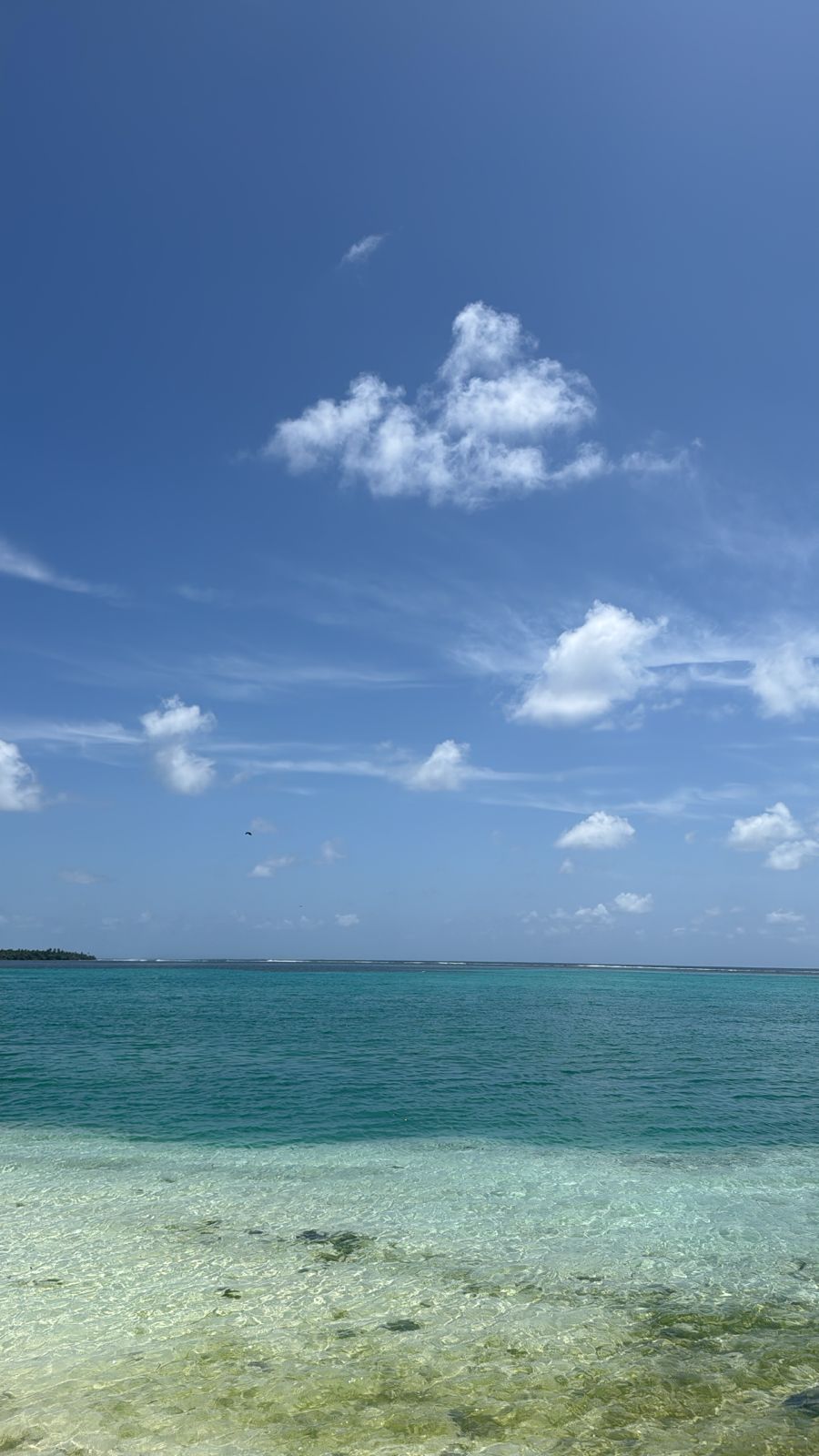 Arena View Laamu - Panoramic