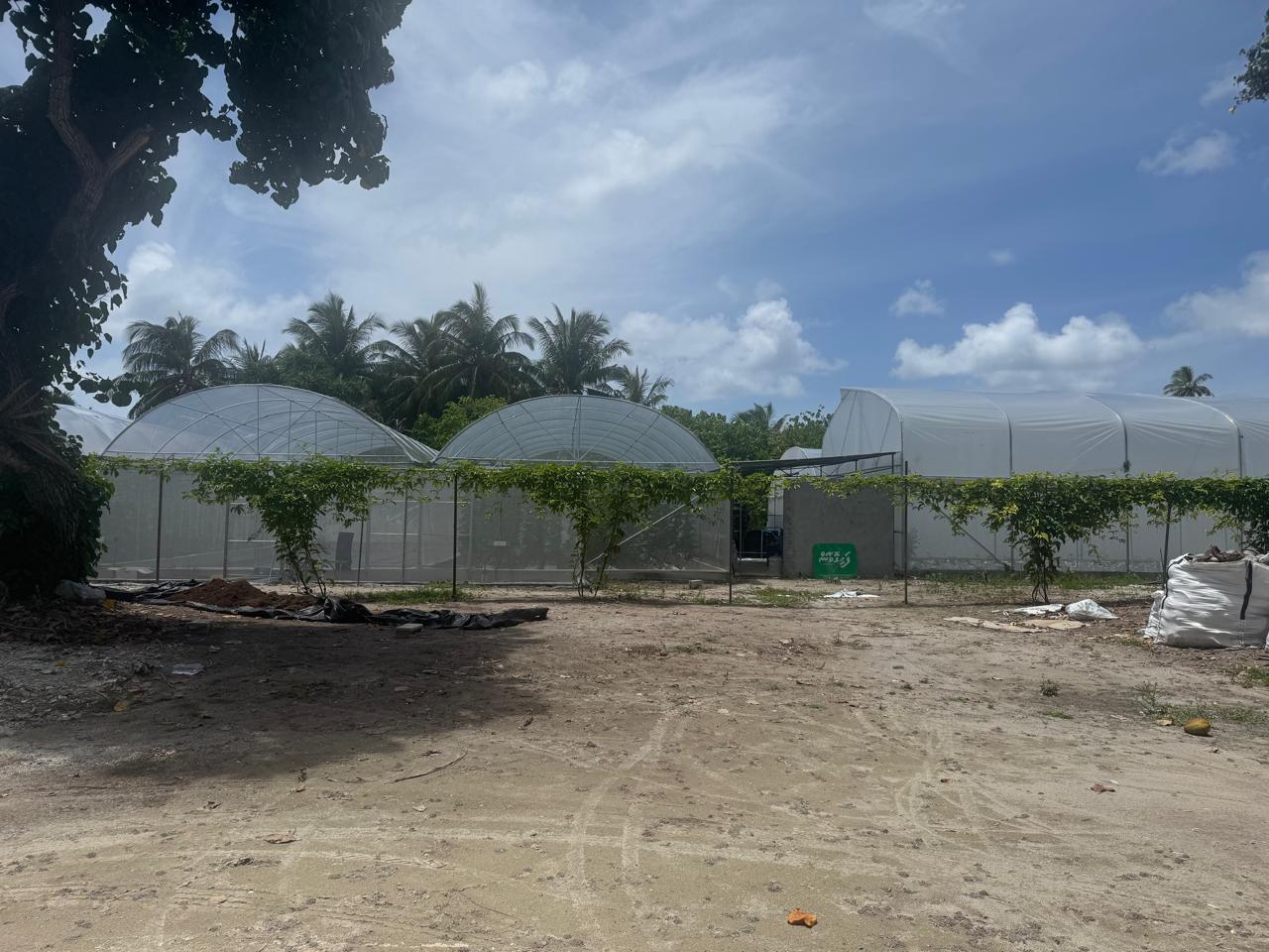 Arena View Laamu - Panoramic