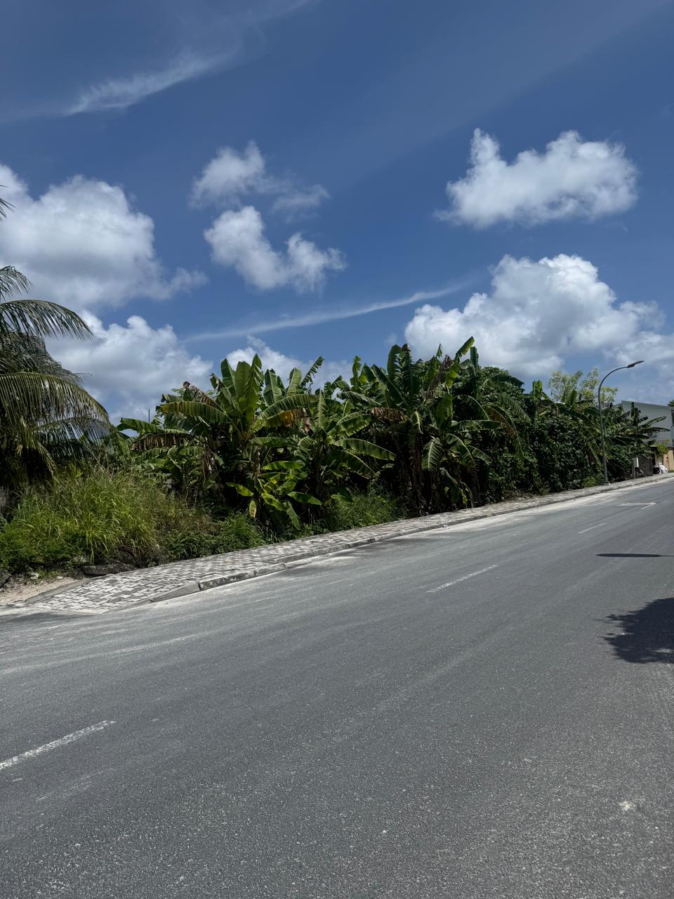 Arena View Laamu - Panoramic